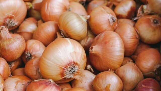 onion
