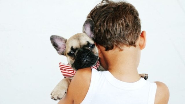 dog-kids