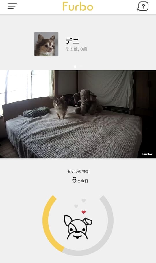 furbo