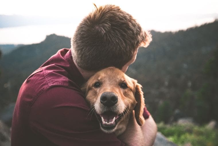 dog-man