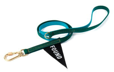 standard-leash